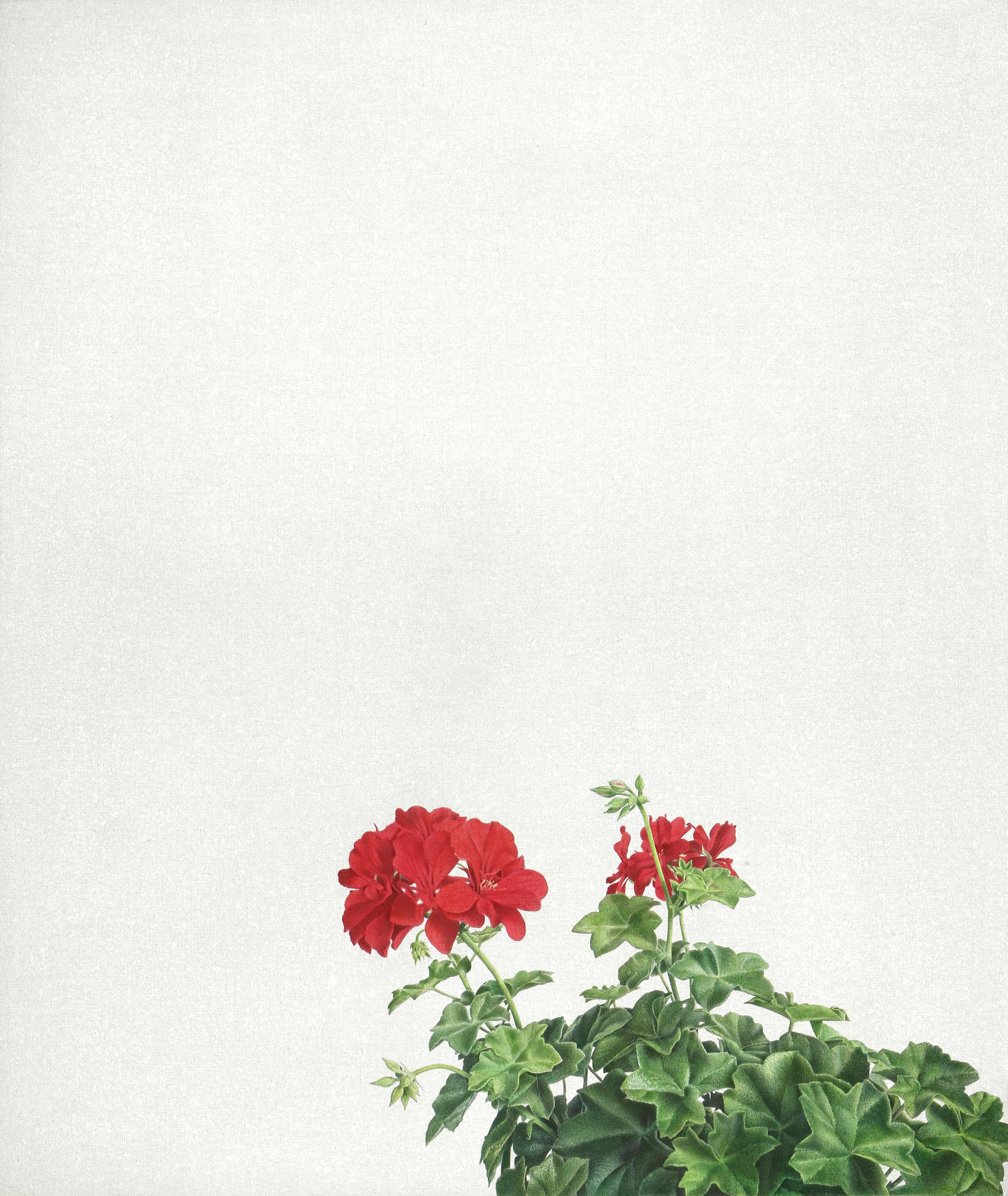 DEZEMBER - Alfredo Barsuglia 