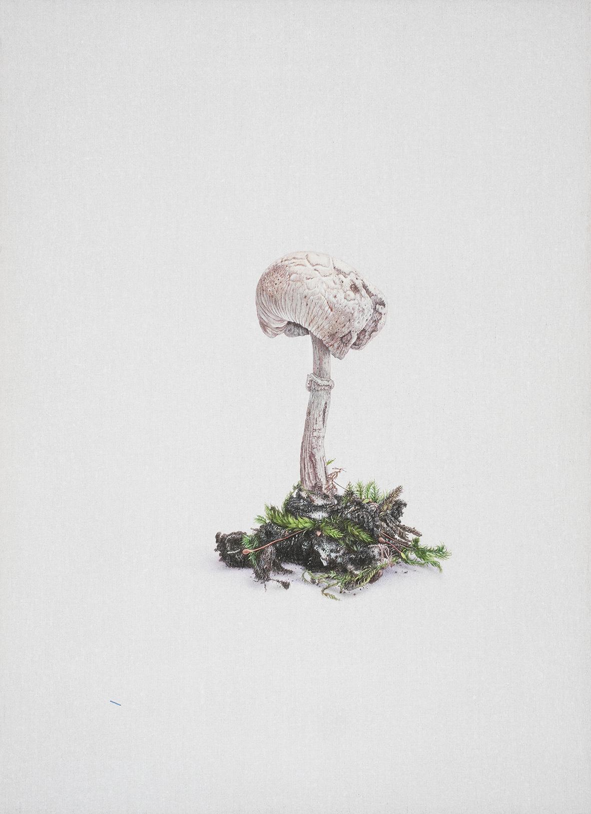 Eisvogel - Alfredo Barsuglia 
