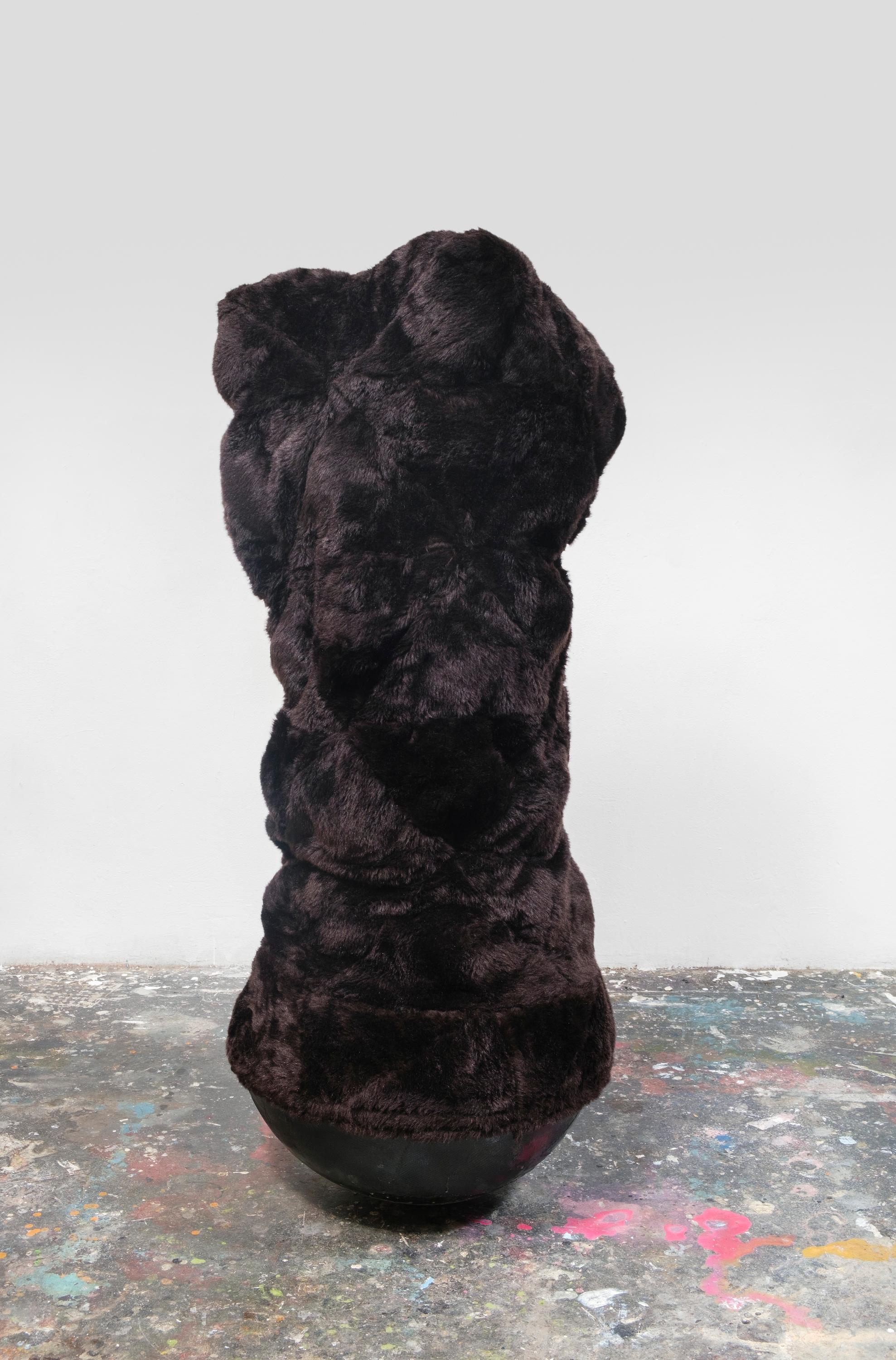 black bear dancing - Stefan Glettler 